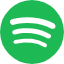 Spotify video downloader